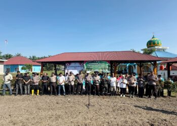 Penanaman Jagung Serentak secara Nasional