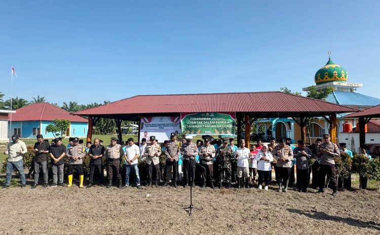 Penanaman Jagung Serentak secara Nasional
