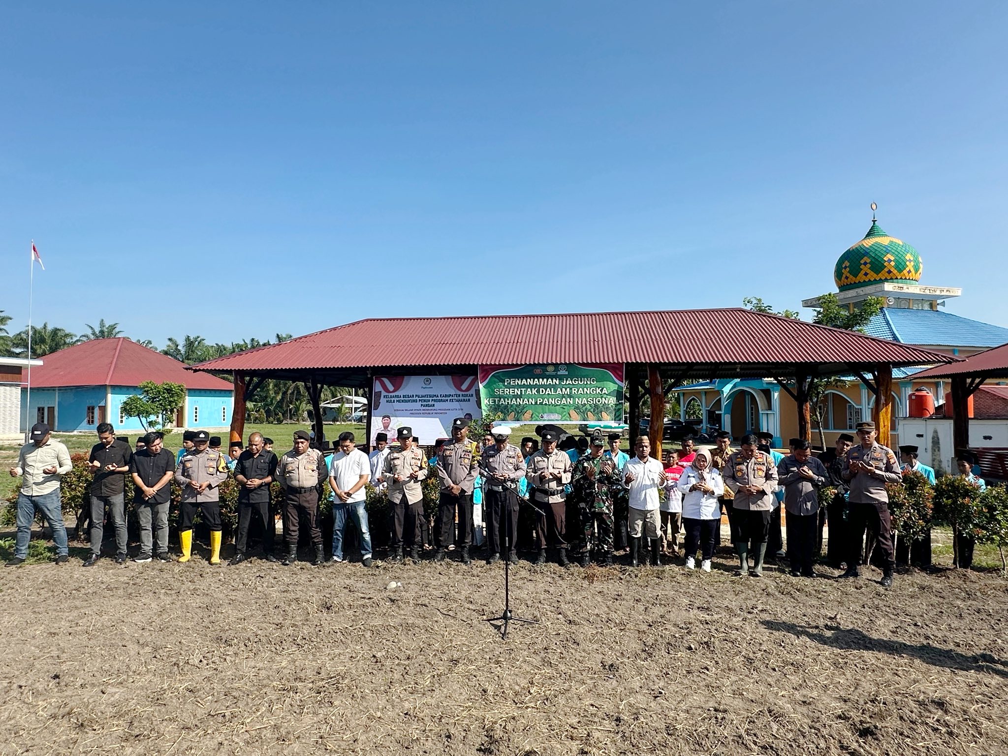 Penanaman Jagung Serentak secara Nasional